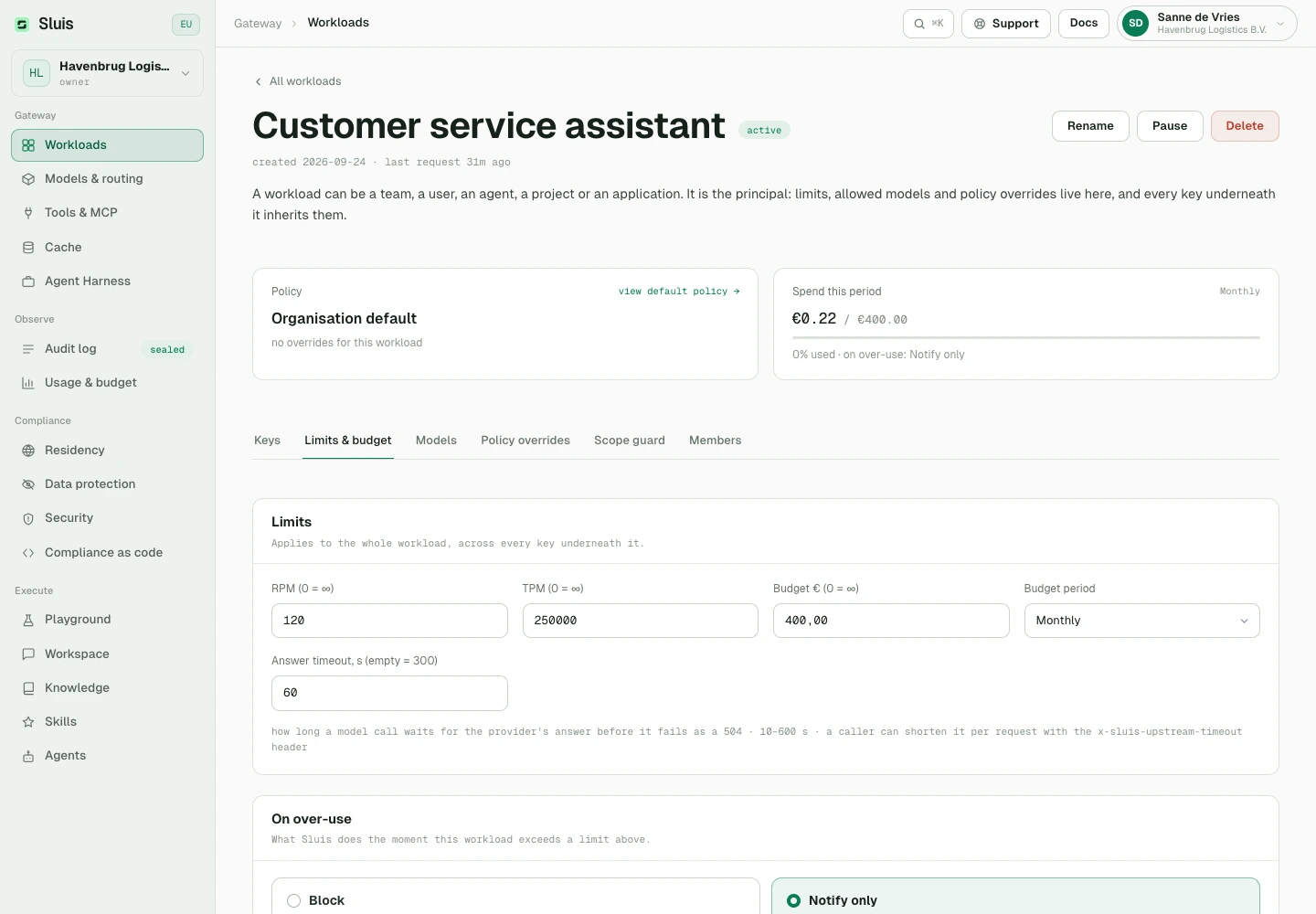 Workload limits and budget, including the provider answer timeout.